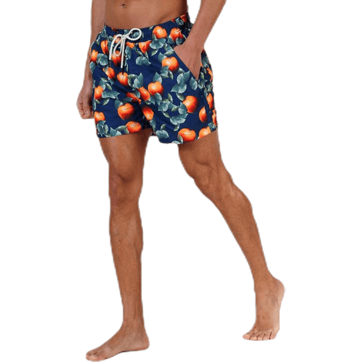 Arancione scuro Blu