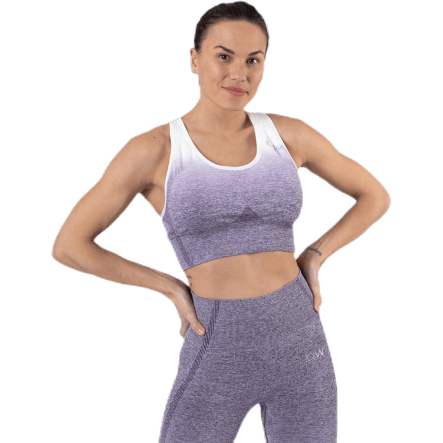 Ombre Seamless Sports Bra Purple
