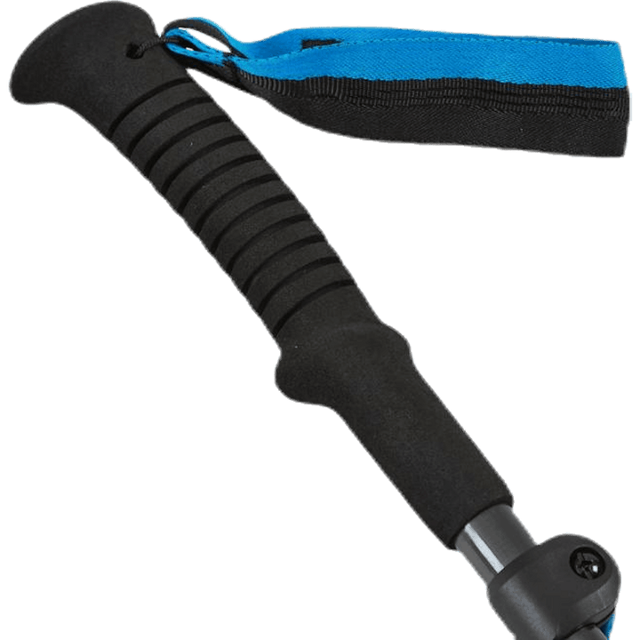 Distance Carbon FLZ Z-Poles Black