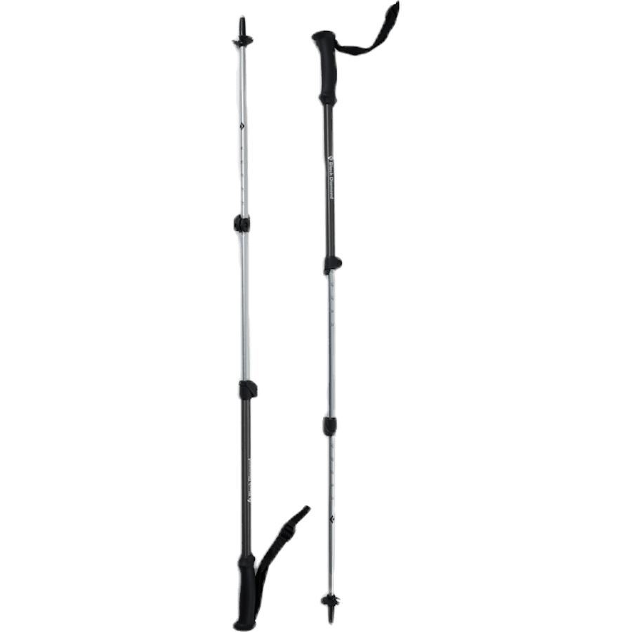 Trail Explorer Trek Poles Grey