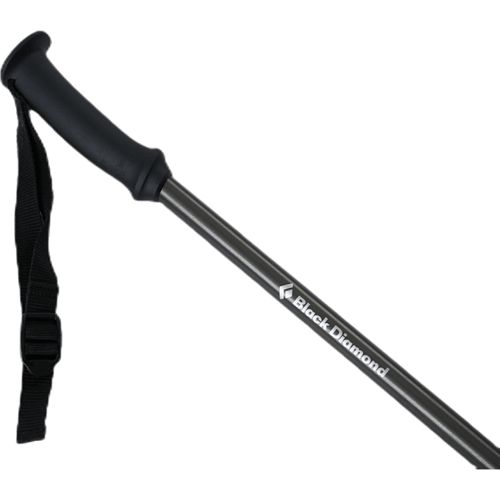 Trail Explorer Trek Poles Grey