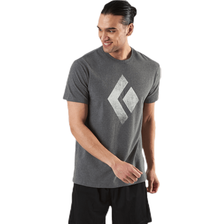 SS Chalked Up Tee Grey
