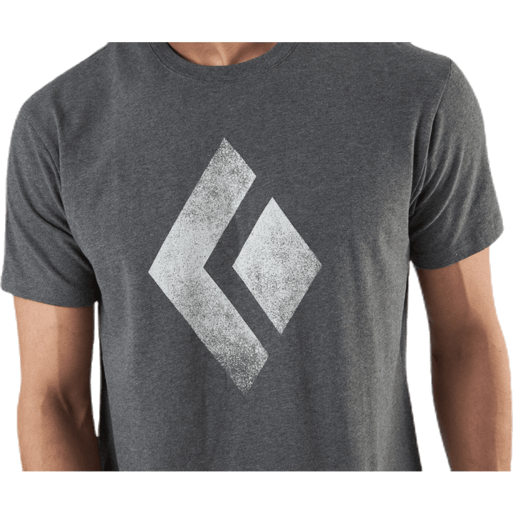 SS Chalked Up Tee Grey