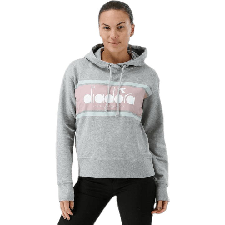 L. Sweat à capuche Spectra Gris