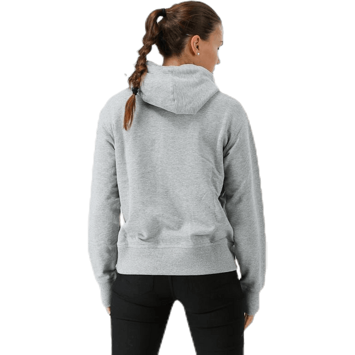 L. Sweat à capuche Spectra Gris