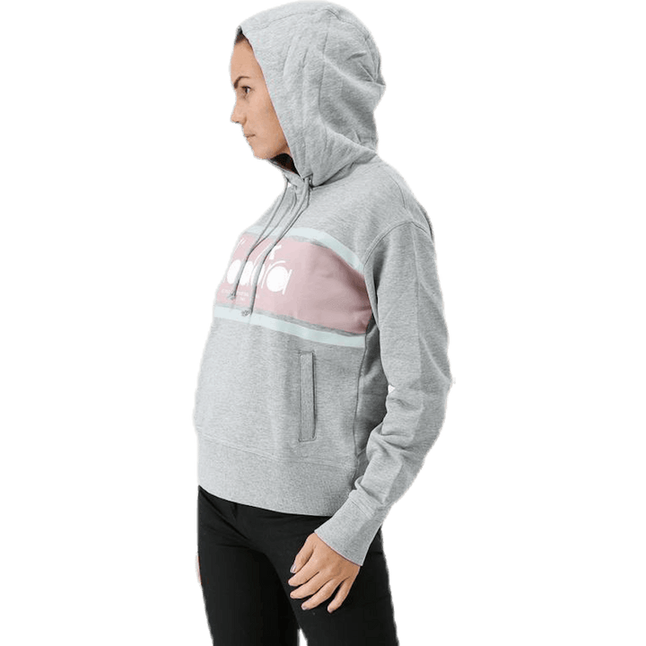 L. Sweat à capuche Spectra Gris