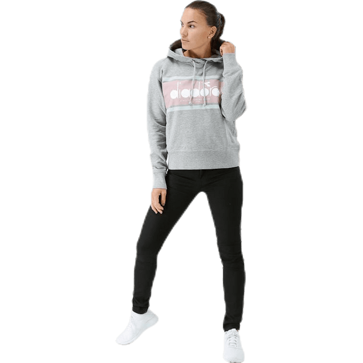 L. Sweat à capuche Spectra Gris