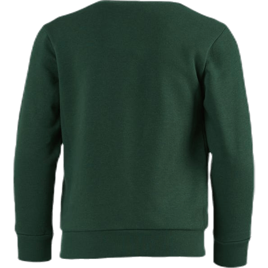 Sweat-shirt ras du cou Junior Vert