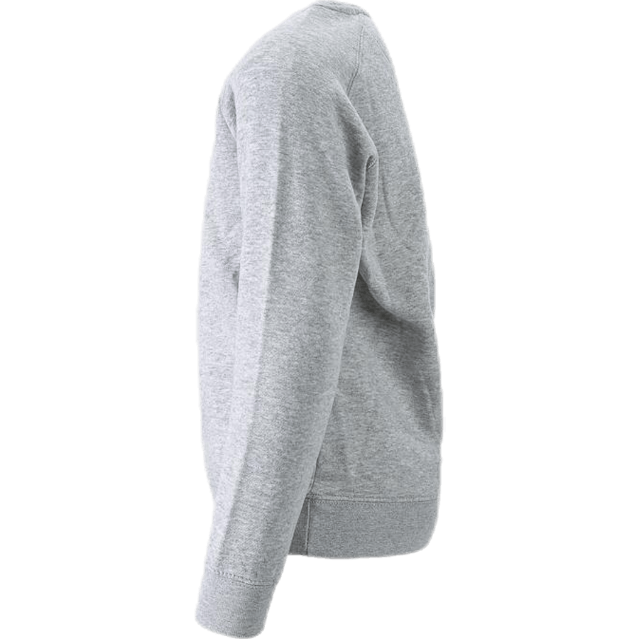 Logotips Plutone Jr Grey