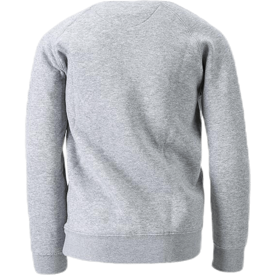 Logotips Plutone Jr Grey