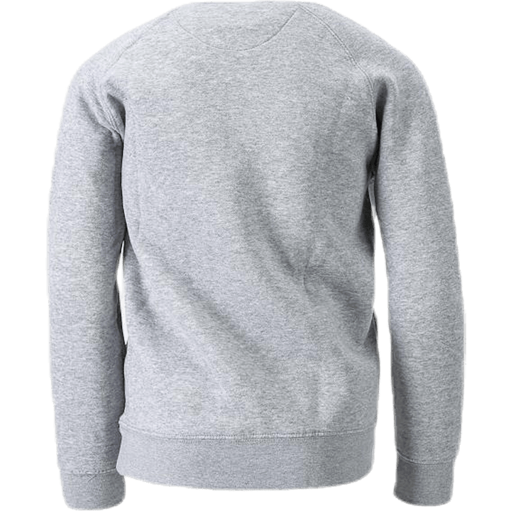 Logotips Plutone Jr Grey