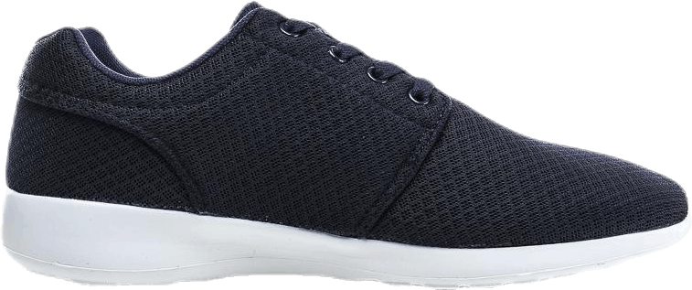 Vaxirio Blue/White