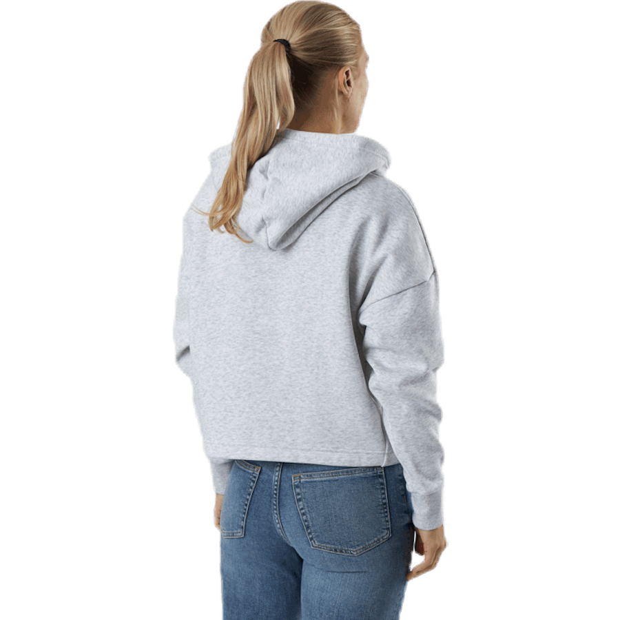 Cropped Hoody Flag Logo Grey