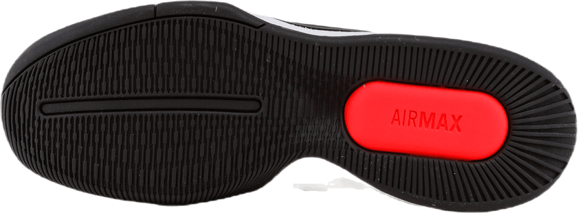 Air Max Wildcard HC Vit/Svart