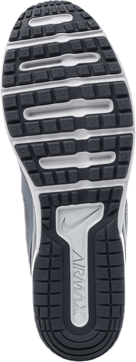 Air Max Fury Gris