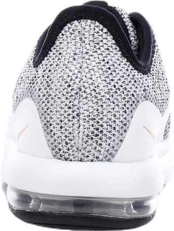 Air Max Sequent 3 PS White/Black