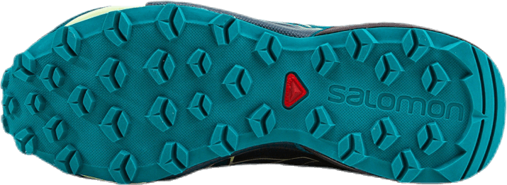 Speedcross Vario 2 GTX W Patterned