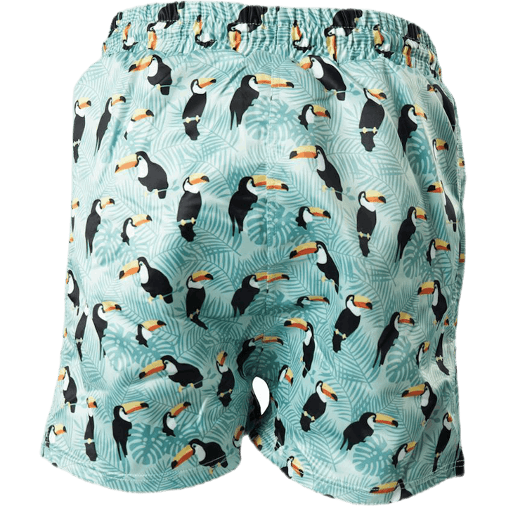 Solig Swim Shorts Green