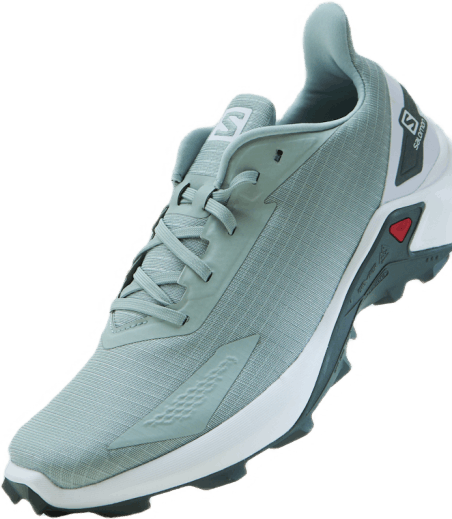 Alphacross Blast Gris