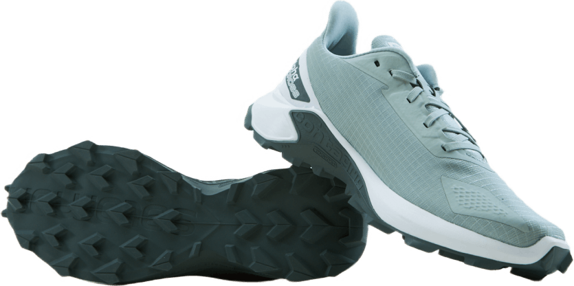 Alphacross Blast Gris