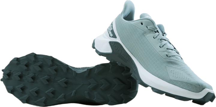 Alphacross Blast Gris