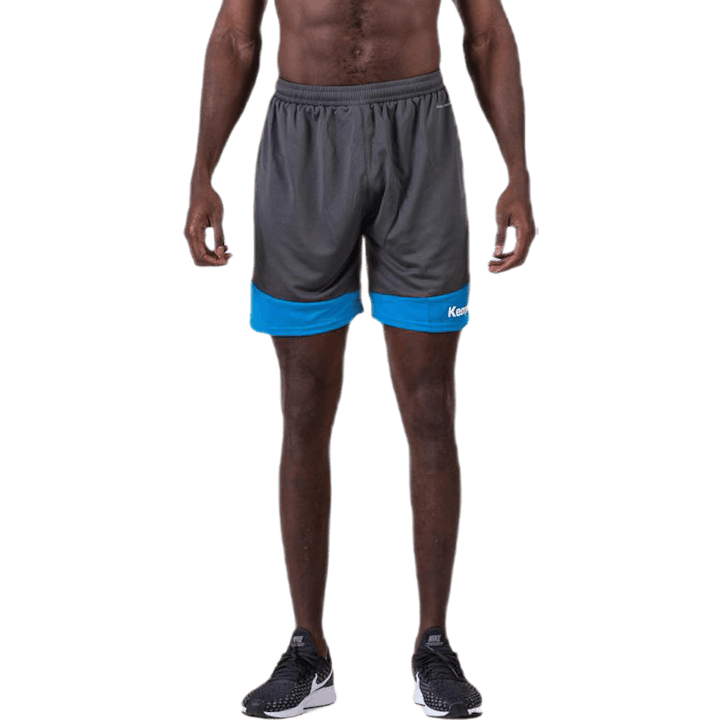 Emotion 2.0 Shorts Blau/Grau