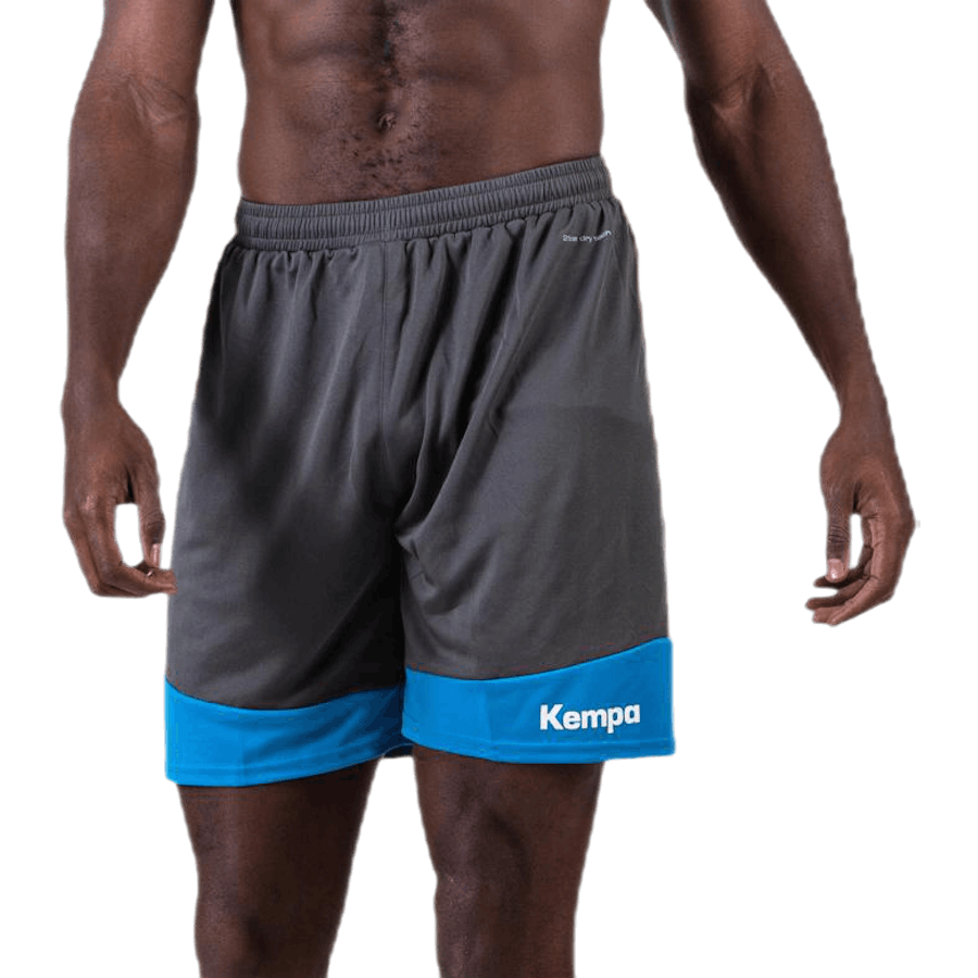 Emotion 2.0 Shorts Blau/Grau