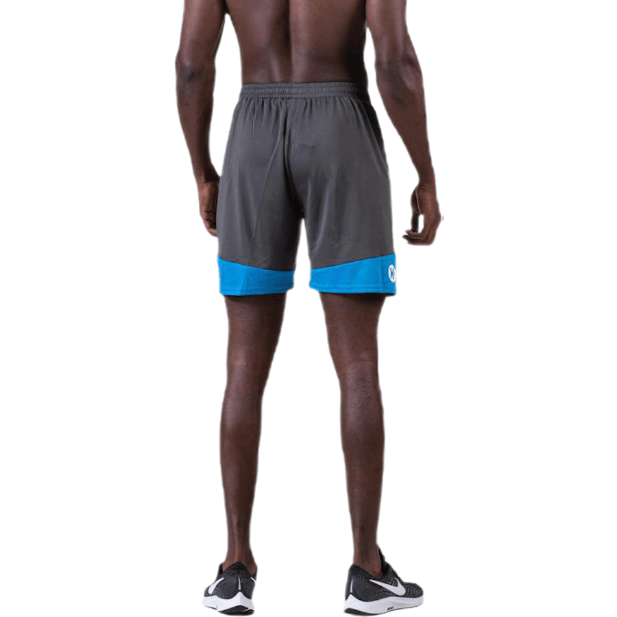 Emotion 2.0 Shorts Blau/Grau