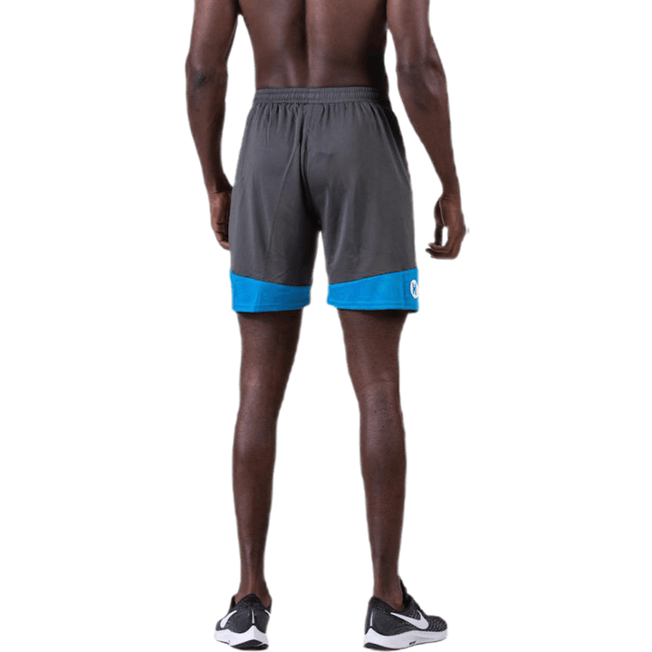 Emotion 2.0 Shorts Blau/Grau