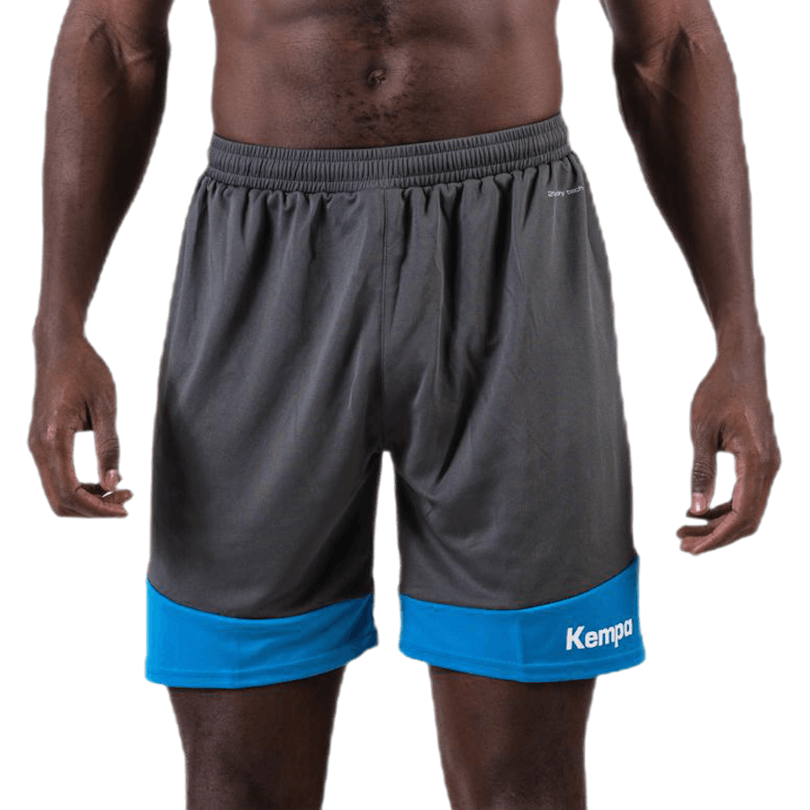 Emotion 2.0 Shorts Blau/Grau