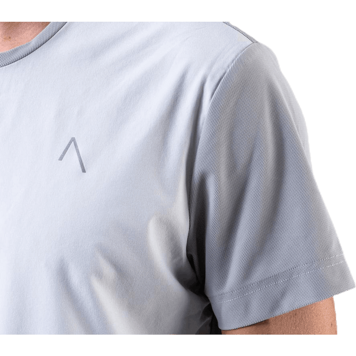 Fly Limited Tee Grau