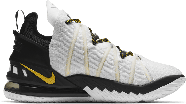 LeBron XVIII