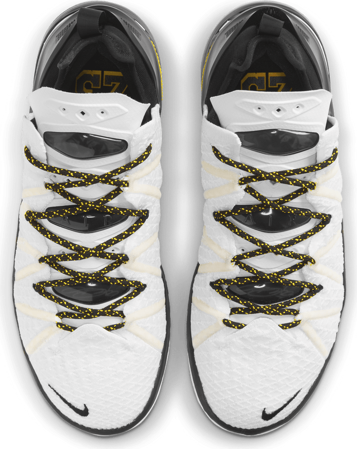 LeBron XVIII