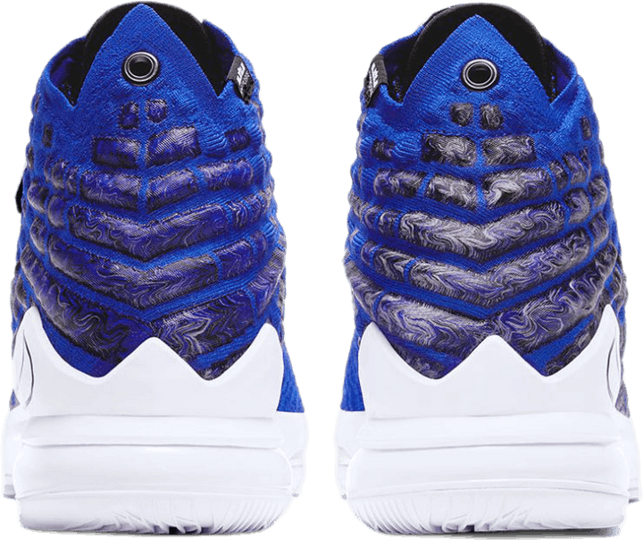 LeBron XVII