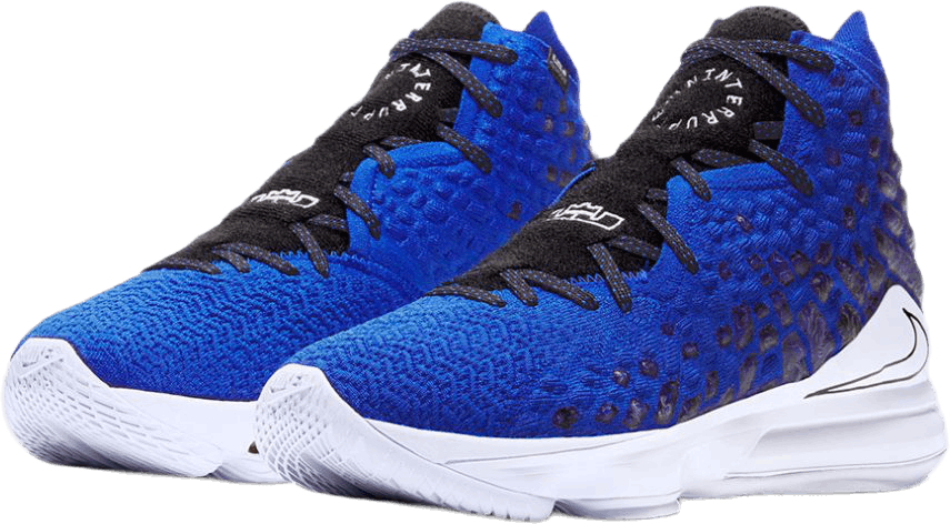 LeBron XVII