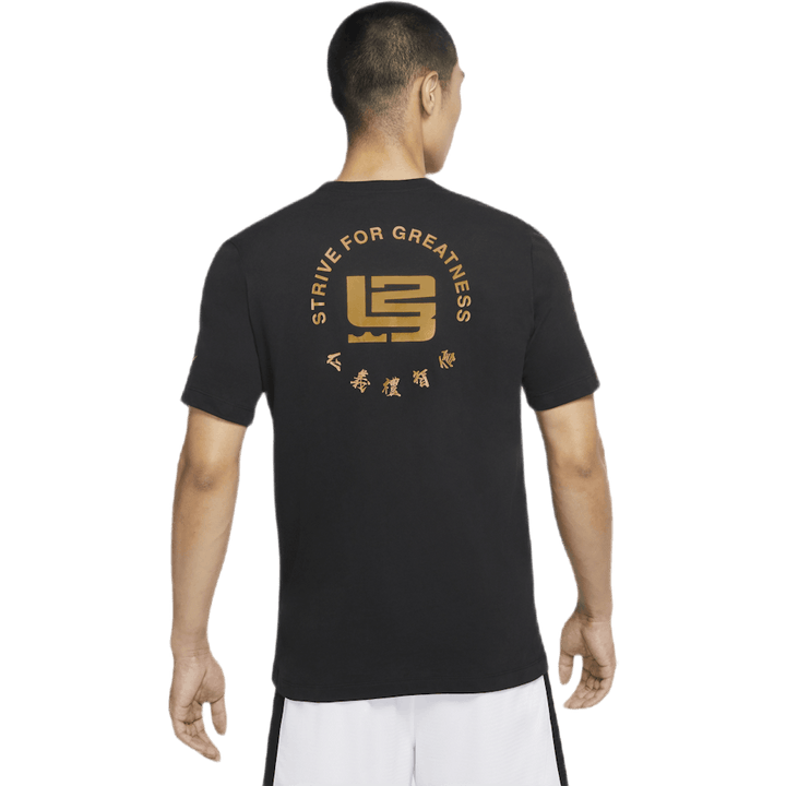 Dri-Fit LeBron "Prizadevanje za veličino"