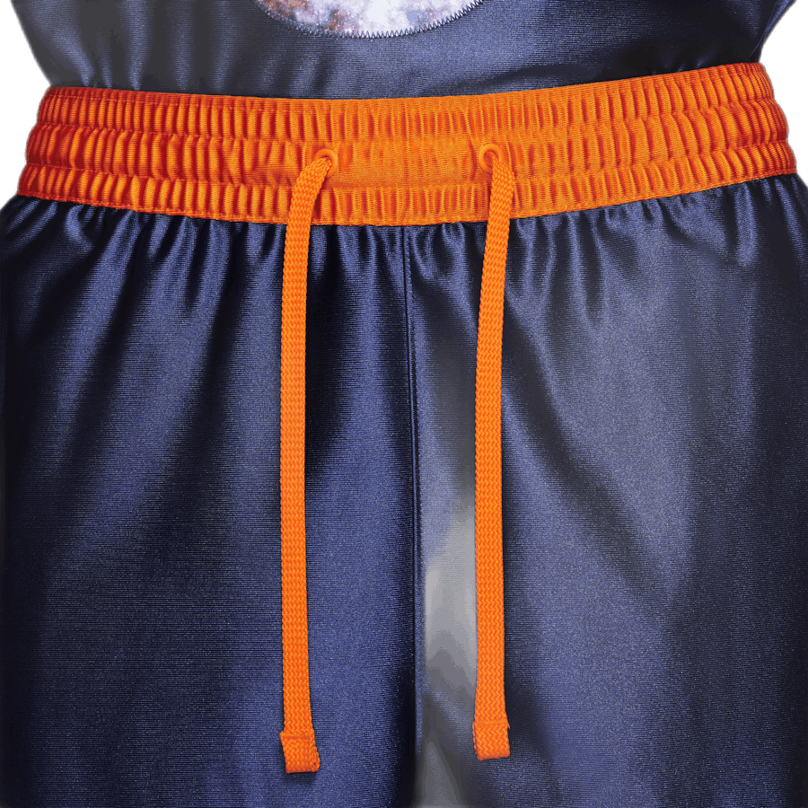 LeBron X Monstars Shorts