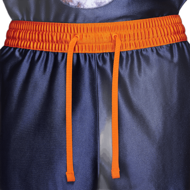 LeBron X Monstars Shorts